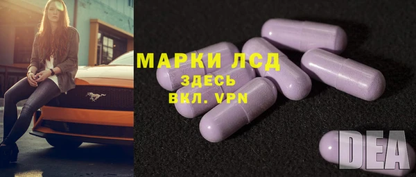 амф Липки