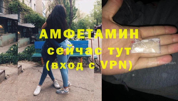 дмт Лиски