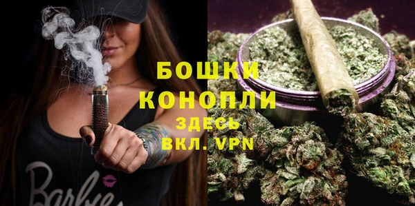 амф Липки