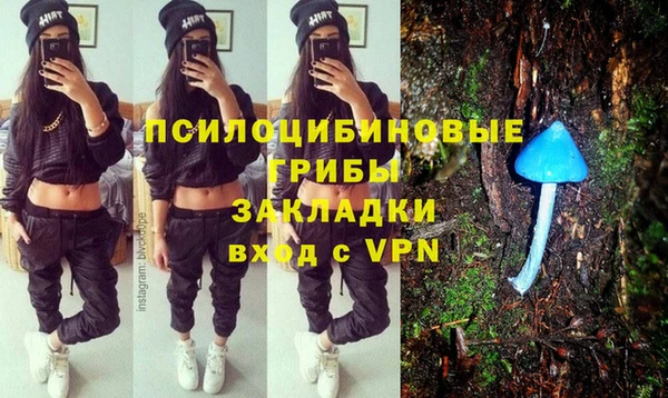 амф Липки