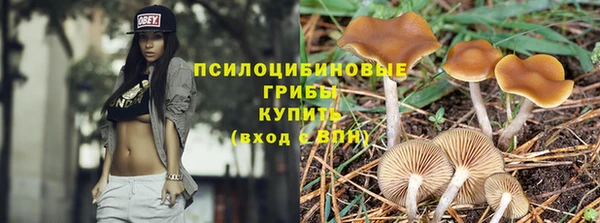 дмт Лиски