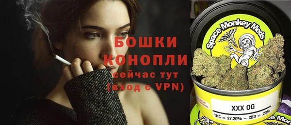 амф Липки