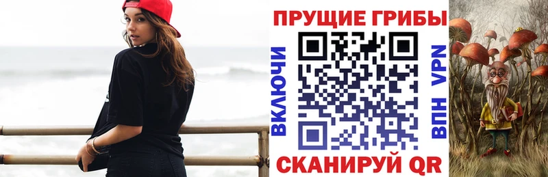 Галлюциногенные грибы Psilocybine cubensis  Купить  Сунжа 