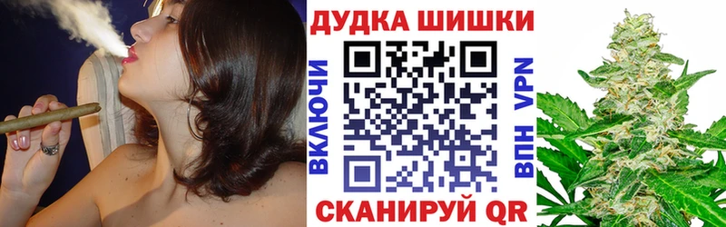 Купить  Сунжа  Марихуана планчик 